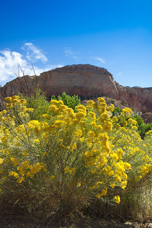 幽灵牧场,海里;Chamisa/Rabbit Brush和Rock Cliffs